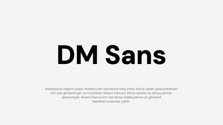 DM Sans