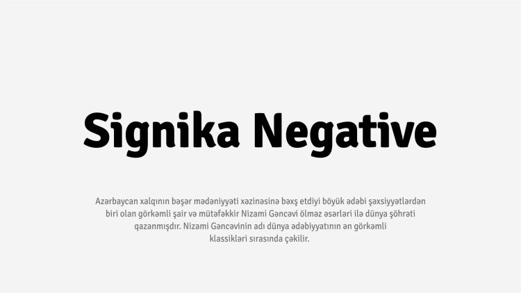 Signika Negative