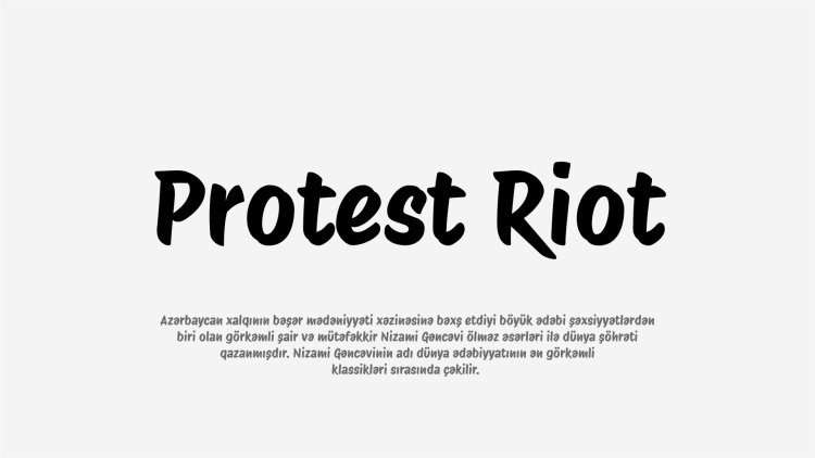 Protest Riot